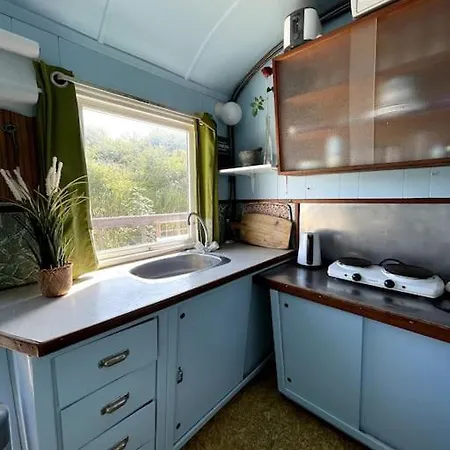 Fjordhytten. Rebuild Train Wagon From 1937. Apartamento *