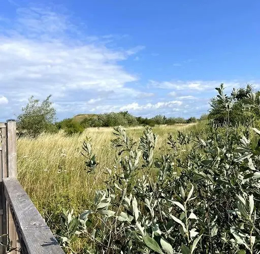 Fjordhytten. Rebuild Train Wagon From 1937. * Odense